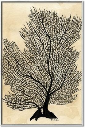 Picture of Neutral Coral II