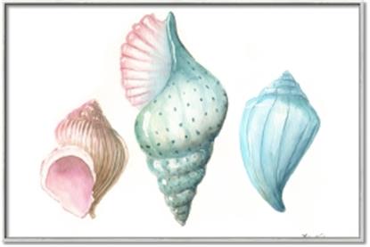 Picture of Seashells I