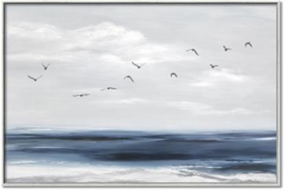 Picture of Birds in the sky