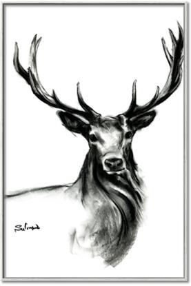 Picture of Sketched Deer