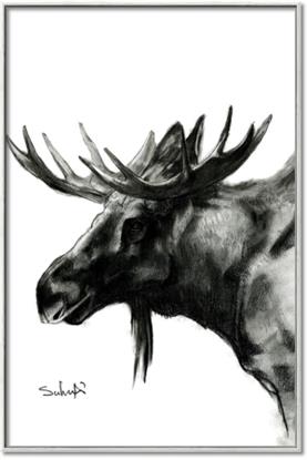 Picture of Sketched Moose