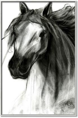 Picture of Sketched Horse