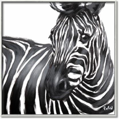 Picture of Zebra Watching