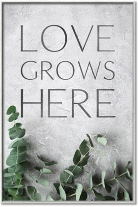 Picture of Love grows here