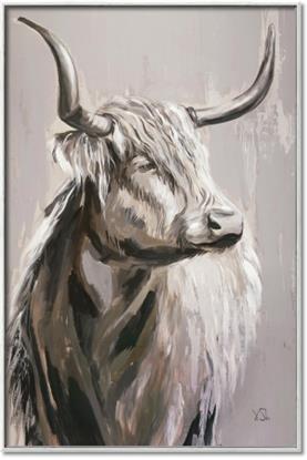 Picture of Harry the Highland