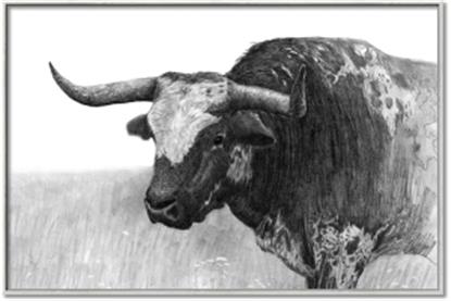 Picture of Big Cattle