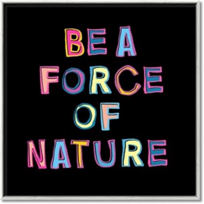 Picture of Force of Nature