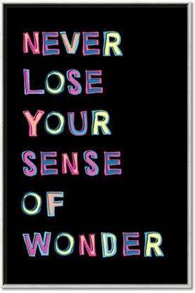 Picture of Sense of Wonder