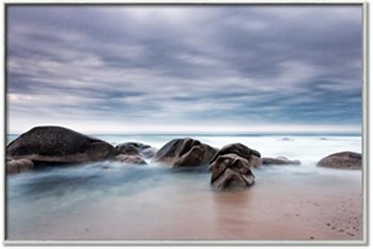 Picture of A Rare Occurrence