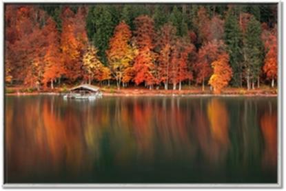 Picture of Autumn by the Lake