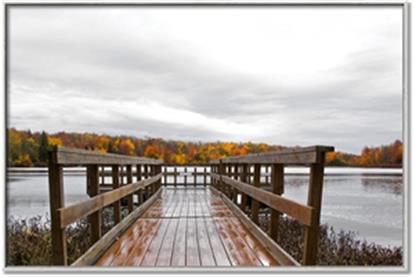 Picture of Autumn Dock