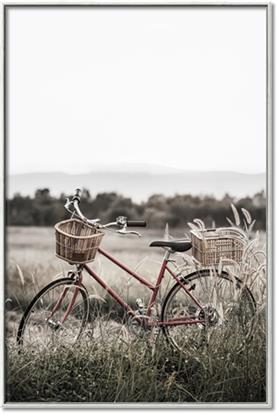 Picture of Bicycle Basket
