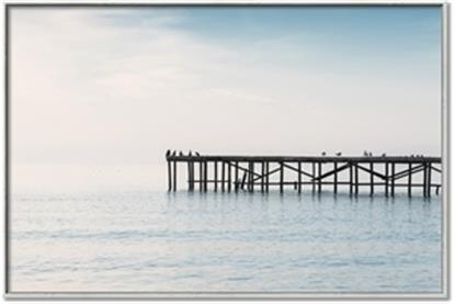 Picture of Birds on the Pier