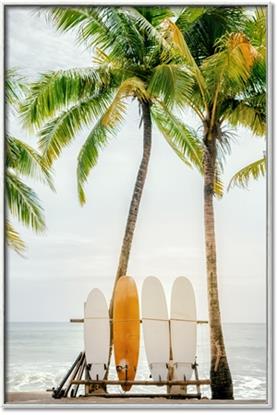 Picture of Boards on the Beach