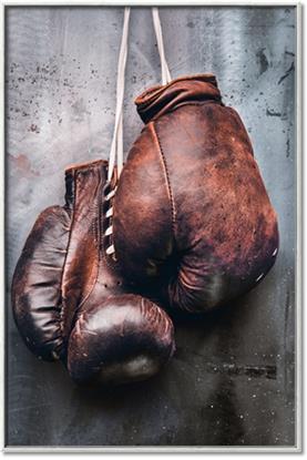 Picture of Boxing Gloves