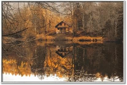 Picture of Cabin in the Woods