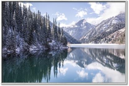 Picture of Captured Peace