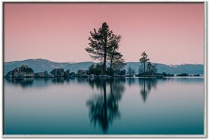 Picture of Cotton Candy  Skies