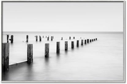 Picture of Discover the Sea