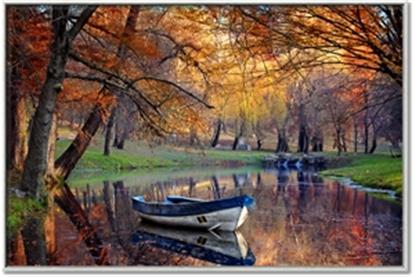 Picture of Fall Stream