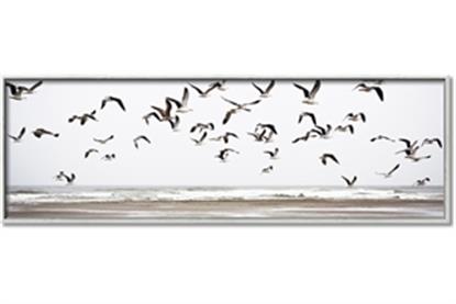 Picture of Flock Together