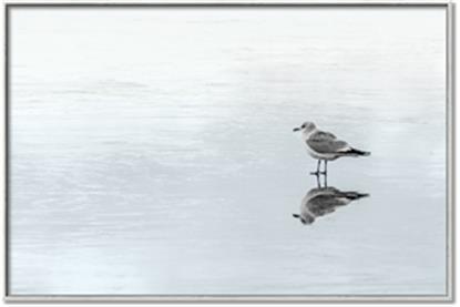 Picture of Frozen Lake