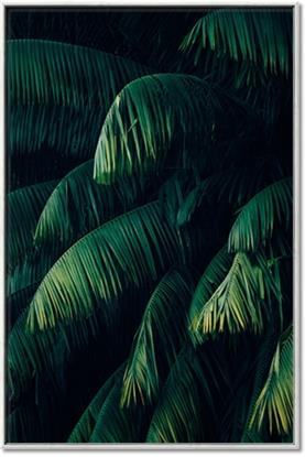 Picture of Greenleaf I