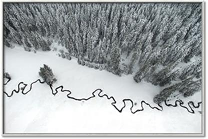 Picture of High Pines