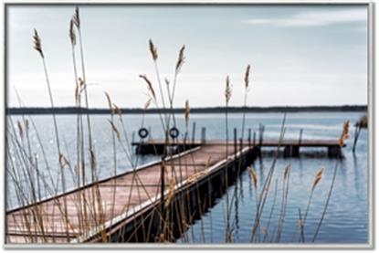 Picture of Take Me to the Lake