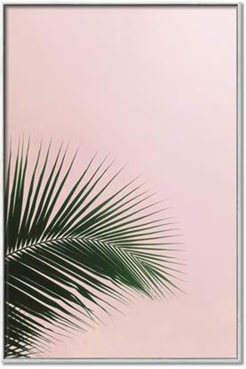 Picture of Leaves on Pink