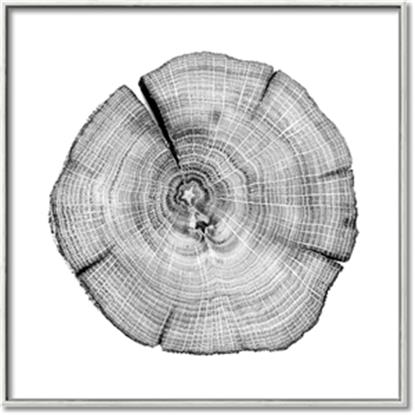 Picture of Logging In