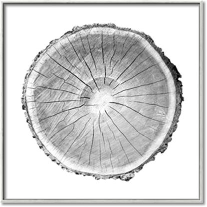 Picture of Logging In ll