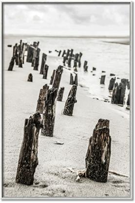 Picture of Peace at Low Tide