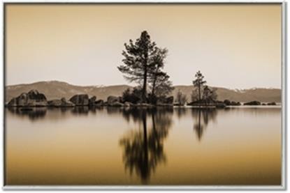 Picture of Mirrored Water