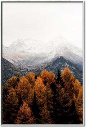 Picture of Mountain Top Views