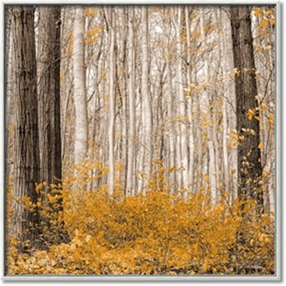 Picture of Mustard Forest