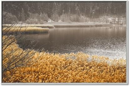 Picture of Mustard Grass Lake