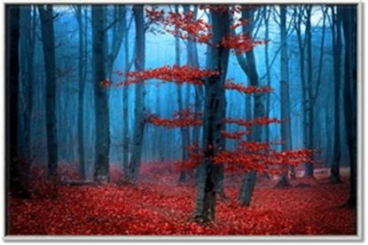 Picture of Mysterious Woods