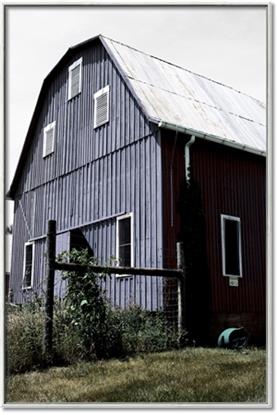 Picture of On the Farm