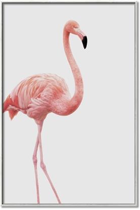 Picture of Pinkfully Perfect