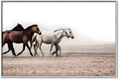 Picture of Ride Along