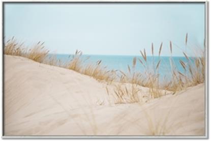 Picture of Sandy Beach