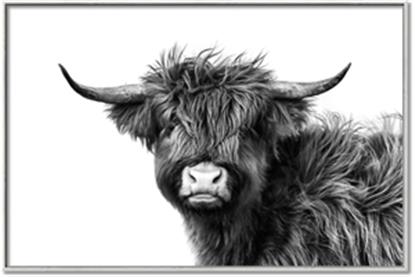 Picture of Scottish Highlands