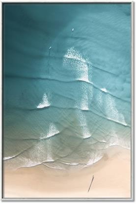 Picture of Shoreline