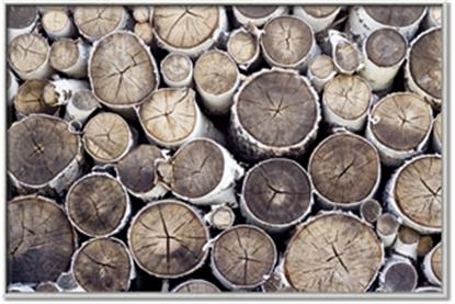Picture of Stacked Logs