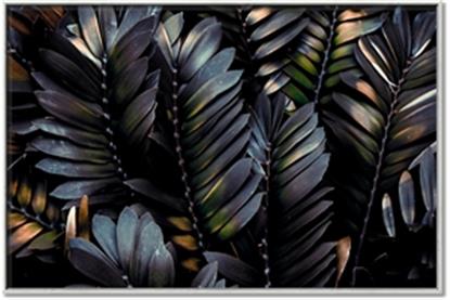 Picture of Intensely Green II