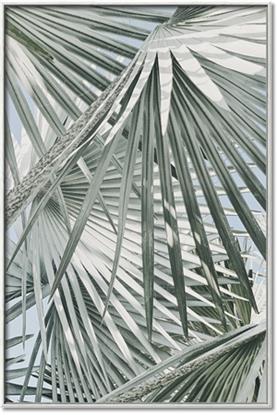 Picture of Sun & Leaves