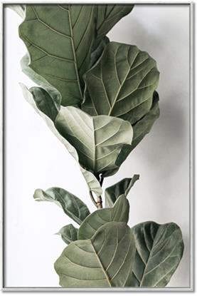 Picture of Think Green