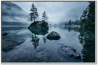 Picture of Through the Fog