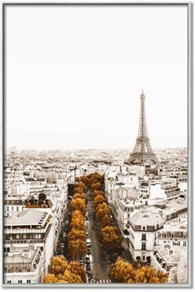 Picture of Touch of Mustard in Paris